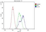 CD229 Antibody in Flow Cytometry (Flow)