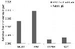 H3K27me2 Antibody in ChIP Assay (ChIP)