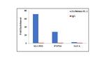 PU.1 Antibody in ChIP Assay (ChIP)