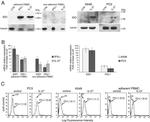 CD274 (PD-L1, B7-H1) Antibody in Flow Cytometry (Flow)