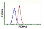 PDHA1 Antibody in Flow Cytometry (Flow)