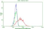 PECAM1 Antibody in Flow Cytometry (Flow)