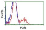 POR Antibody in Flow Cytometry (Flow)