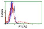 PYCR2 Antibody in Flow Cytometry (Flow)