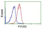 PYCR2 Antibody in Flow Cytometry (Flow)