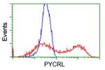 PYCRL Antibody in Flow Cytometry (Flow)