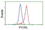 PYCRL Antibody in Flow Cytometry (Flow)