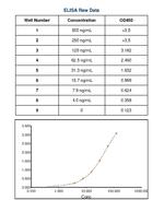 Feline IgM Secondary Antibody in ELISA (ELISA)