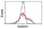 SAMHD1 Antibody in Flow Cytometry (Flow)