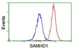 SAMHD1 Antibody in Flow Cytometry (Flow)