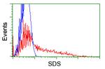 SDS Antibody in Flow Cytometry (Flow)