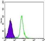 SMC1 Antibody in Flow Cytometry (Flow)