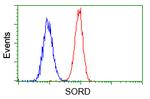 SORD Antibody in Flow Cytometry (Flow)