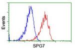 SPG7 Antibody in Flow Cytometry (Flow)