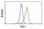 TAL1 Antibody in Flow Cytometry (Flow)