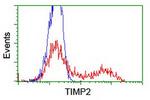TIMP2 Antibody in Flow Cytometry (Flow)