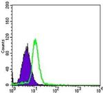 TNFRSF11B Antibody in Flow Cytometry (Flow)