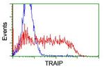TRAIP Antibody in Flow Cytometry (Flow)
