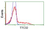 TTC32 Antibody in Flow Cytometry (Flow)