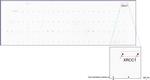 XRCC1 Antibody in Peptide array (ARRAY)