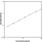 Human IFN gamma ELISA Kit