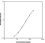 Rat IL-2 ELISA Kit - Invitrogen