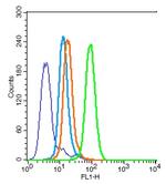 Bax Antibody in Flow Cytometry (Flow)