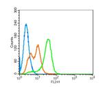 Leptin receptor Antibody in Flow Cytometry (Flow)