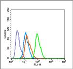 Phospho-Tau protein (Ser579) Antibody in Flow Cytometry (Flow)