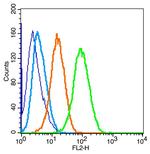 PERK Antibody in Flow Cytometry (Flow)