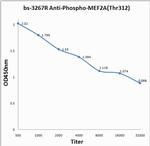 Phospho-MEF2A (Thr312) Antibody in ELISA (ELISA)