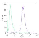 c-Myc Antibody in Flow Cytometry (Flow)