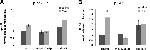 Phospho-FAK (Tyr397) Antibody in Western Blot (WB)