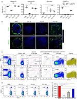 CD11c Antibody in Flow Cytometry (Flow)