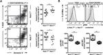 CD185 (CXCR5) Antibody in Flow Cytometry (Flow)