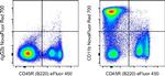 CD11b Antibody in Flow Cytometry (Flow)