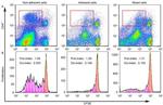 CD4 Antibody in Flow Cytometry (Flow)