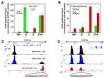 Glucocorticoid Receptor Antibody in ChIP Assay (ChIP)