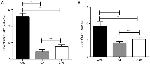 FOXP3 Antibody in Flow Cytometry (Flow)