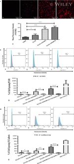 CD31 (PECAM-1) Antibody in Flow Cytometry (Flow)