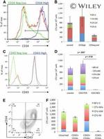 CD34 Antibody in Flow Cytometry (Flow)