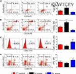 CD8a Antibody in Flow Cytometry (Flow)