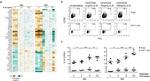 CD218a (IL-18Ra) Antibody in Flow Cytometry (Flow)