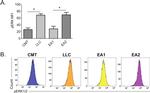 Phospho-ERK1/2 (Thr202, Tyr204) Antibody in Flow Cytometry (Flow)