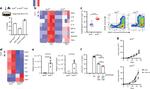 MHC Class II (I-A/I-E) Antibody in Flow Cytometry (Flow)