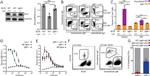 IgM Antibody in ELISA (ELISA)