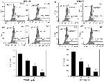 CD274 (PD-L1, B7-H1) Antibody in Flow Cytometry (Flow)