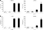 IL-1 beta Antibody in ELISA (ELISA)