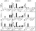 CCL5 (RANTES) Antibody in ELISA (ELISA)