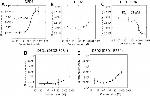 GST Tag Antibody in ELISA (ELISA)